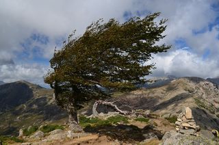 Météo Corse : vigilance rouge pour vents violents !