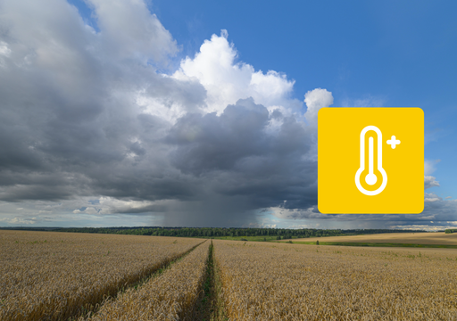 M&eacute;t&eacute;o de ce lundi en France : le calme avant pluie et vent ? Voici les pr&eacute;visions