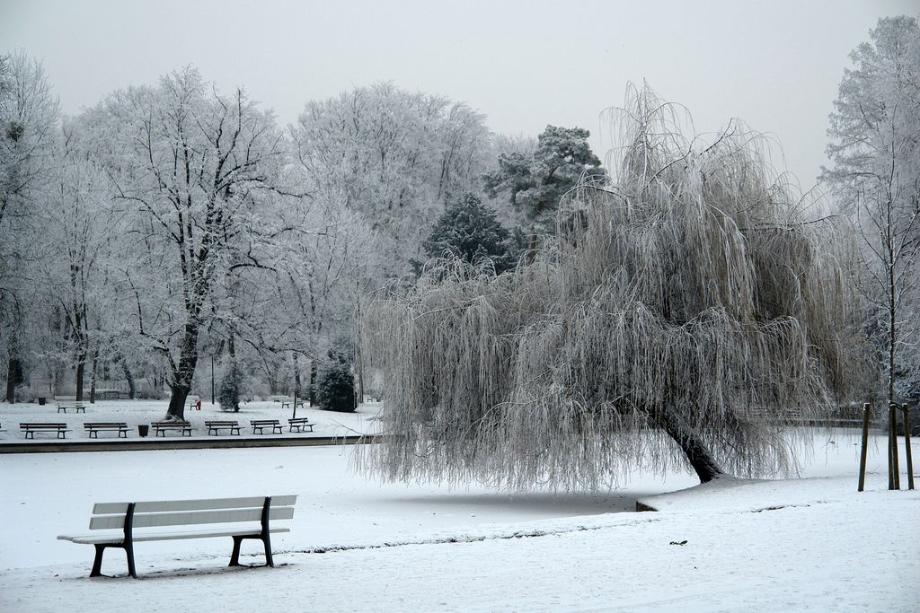 neige neige