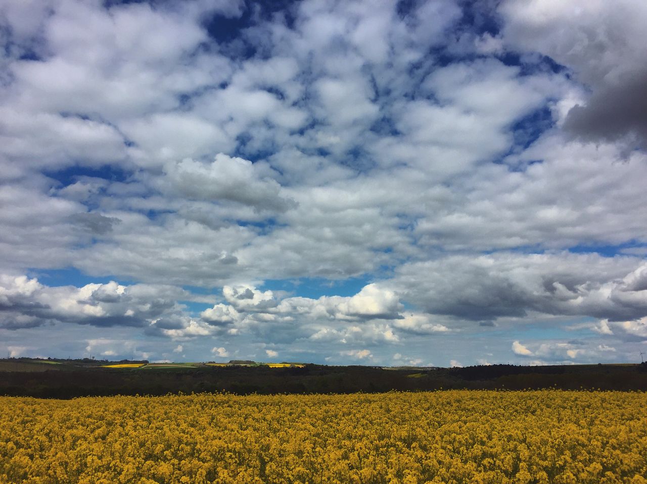 Les nuages seront parfois nombreux en début de semaine sur le nord du pays. Ils le seront moins en fin de semaine.