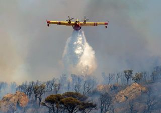 Météo des forêts : quelles régions sont les plus à risque pour les incendies cet été ? 