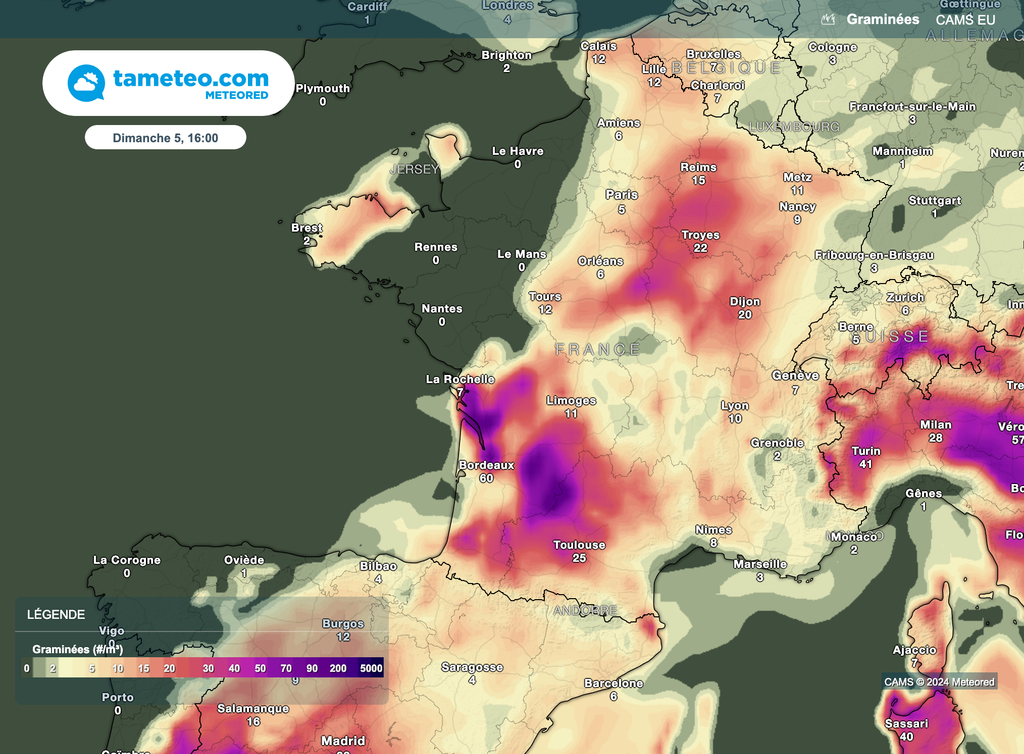 Vers la Normandie et la Bretagne, peu de pollens à prévoir dimanche en fin d'après-midi. Cela s'explique par une météo plutôt capricieuse.