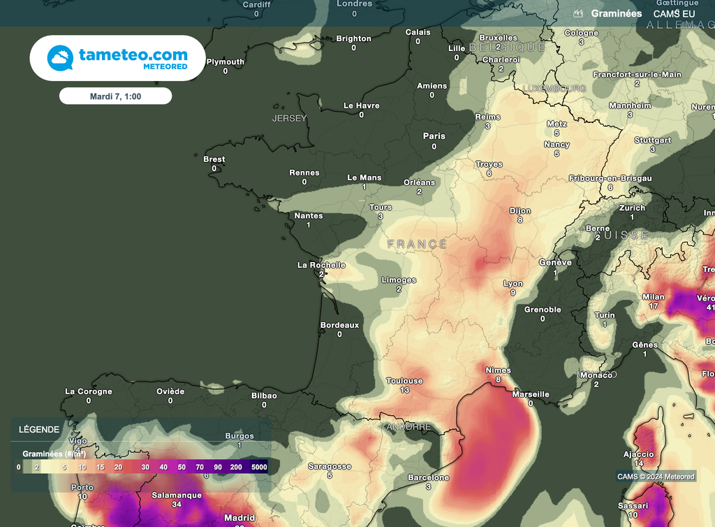Les averses du début de semaine limiteront encore les concentrations en grains de pollens.