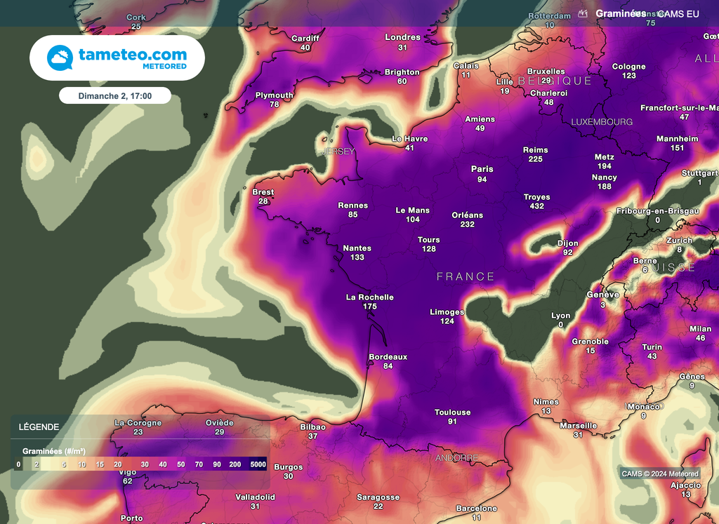 Déjà pour dimanche, les pollens seront très présents. Déjà pour dimanche, les pollens seront très présents.
