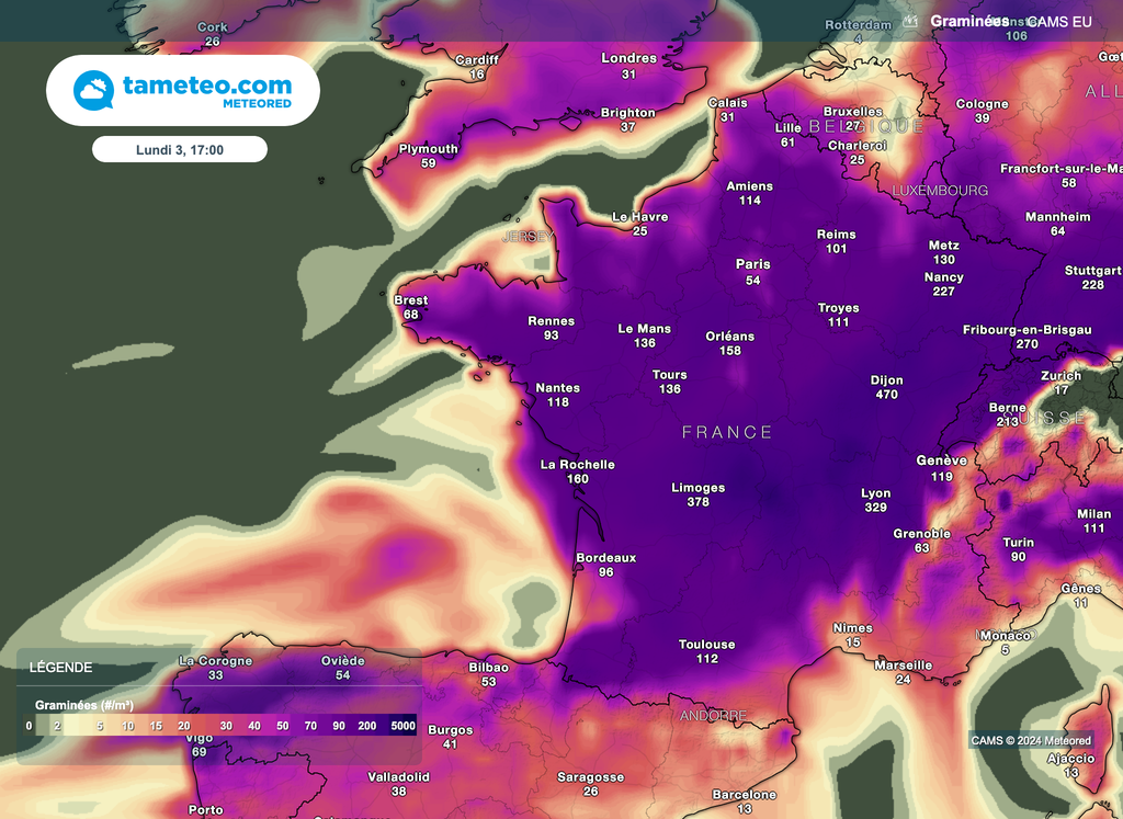 L'ensemble de l'hexagone sera concerné par ces pollens tout au long de la semaine prochaine. L'ensemble de l'hexagone sera concerné par ces pollens tout au long de la semaine prochaine.