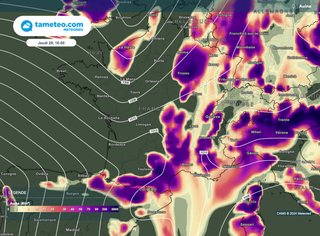 Météo des pollens : se dirige-t-on vers une nouvelle alerte aux pollens ? Quelles régions concernées ?