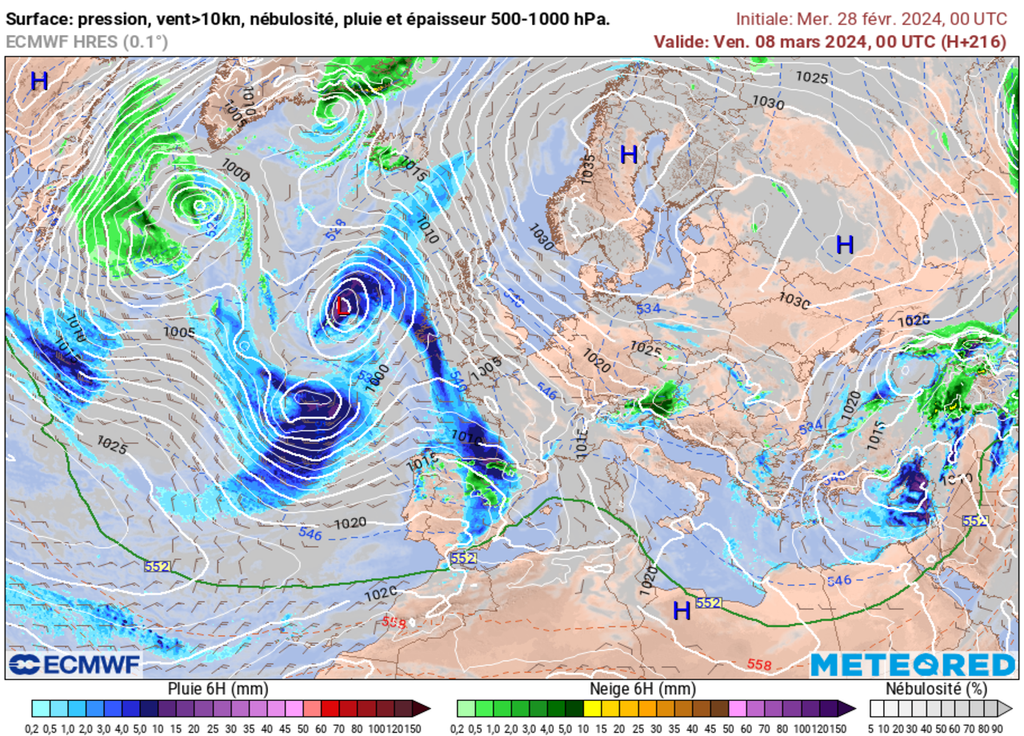 Une météo plus calme devrait favoriser l'émission de nouveaux pollens vers le 8/10 mars.