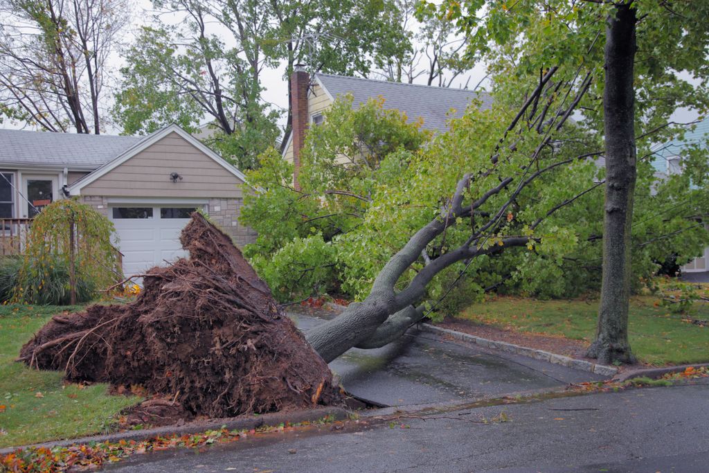 Tempête france