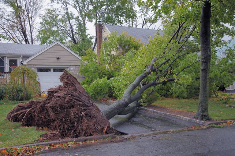 Tempête france Tempête france