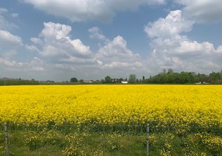 Meteo: domenica 25 di sole, fine aprile perturbato: come sarà maggio?