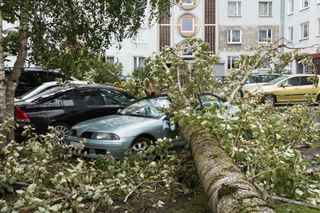 Tempête Myriam : 6 départements en vigilance pour vents violents