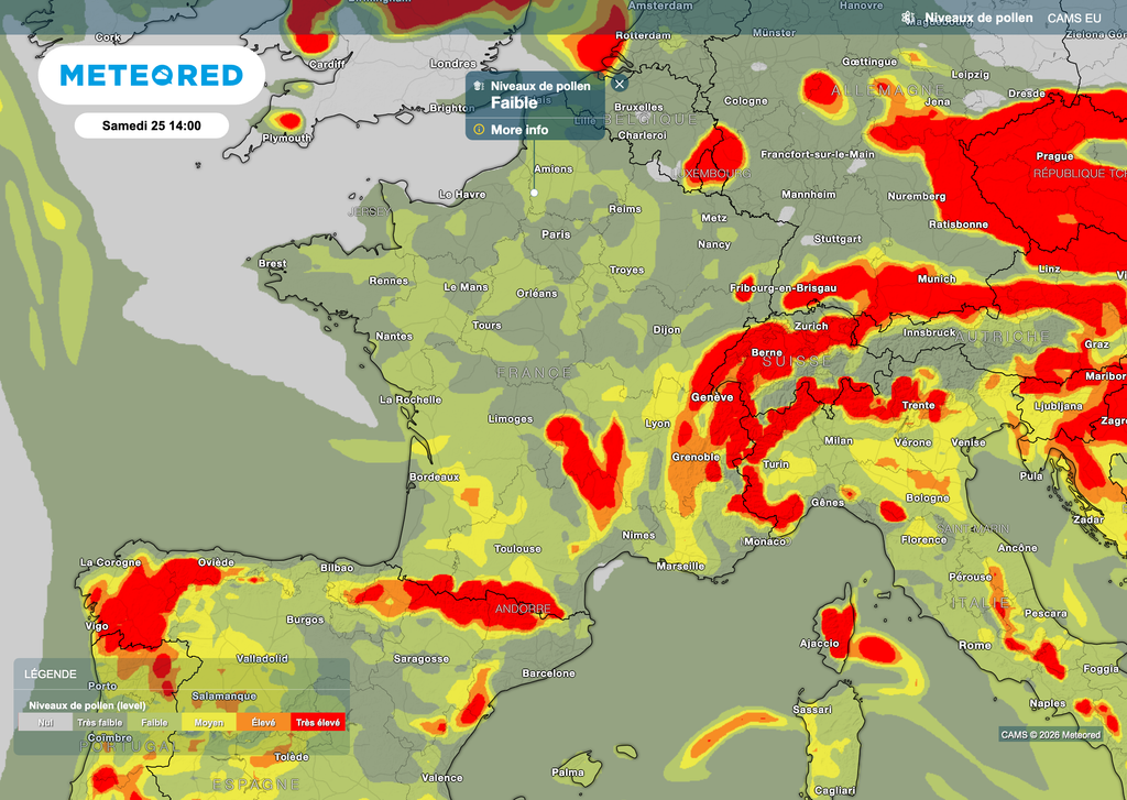 C'est en montagne que le spollens serotn les plus présents (bétulacées), plus discrets en plaine avec ceux des graminées.