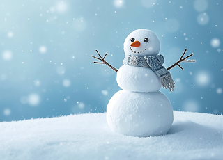 Météo de Noël en France : la neige va-t-elle s'inviter après une longue période de douceur ? Voici nos tendances !