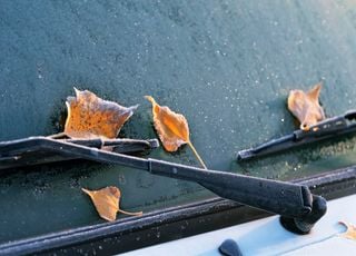 Météo en France : le froid voire l'hiver peuvent-ils vraiment s'inviter la semaine prochaine ? Découvrez les prévisions