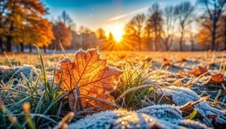 M&eacute;t&eacute;o en France : le mois de novembre s'annonce-t-il plus froid que octobre ? Le gel va-t-il s'observer