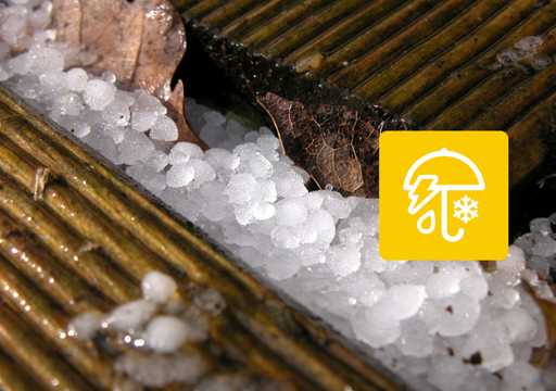 Froid et neige en France : que va-t-il vraiment se passer ? Le froid est-il r&eacute;ellement envisag&eacute; ? Nos informations