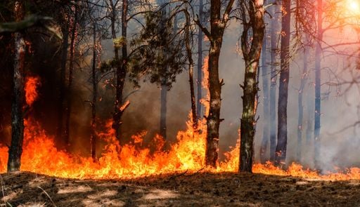 M&eacute;t&eacute;o en France : vigilance orange pour le risque d'incendies dans ces 7 d&eacute;partements ce lundi, d&eacute;couvrez lesquels