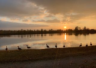 Meteo: estate di San Martino a oltranza, quando arriverà il freddo?