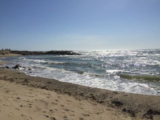 Météo estivale cette semaine : des centaines de records battus !