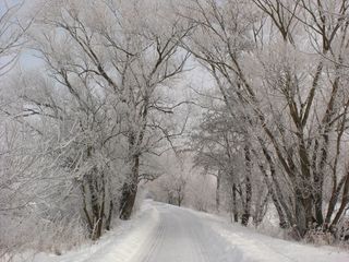 Météo : fin de l'épisode neigeux ce vendredi