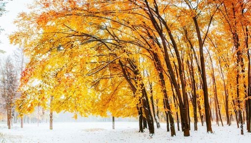 Meteo fino a fine 2026, ECMWF aggiorna le tendenze: cosa potrebbe succedere in Italia tra ottobre, novembre e dicembre