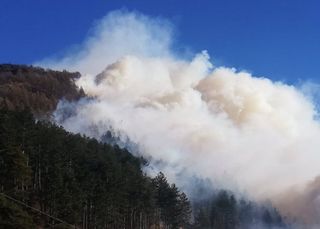 Schockierend: Jetzt schon Waldbrände und Dürre in Italien!