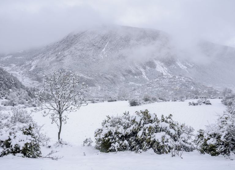 Météo : risque d'inondations au Sud et de neige en plaine dans l'Est ! Météo : risque d'inondations au Sud et de neige en plaine dans l'Est !