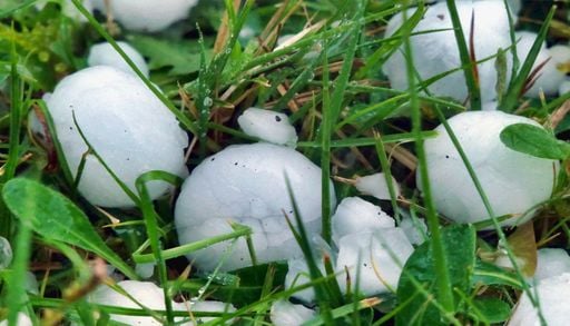 M&eacute;t&eacute;o-France : temp&ecirc;te en Corse et orages violents accompagn&eacute;s de gr&ecirc;le sur les Pyr&eacute;n&eacute;es. Les pr&eacute;visions de ce mardi