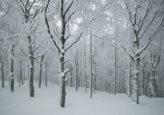 Meteo: freddo asciutto al nord, neve a quote basse al centrosud