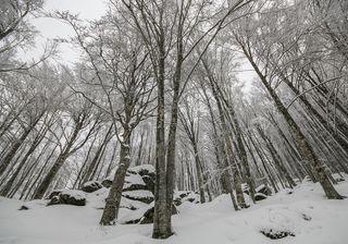 Meteo: freddo in arrivo con venti impetuosi e nevicate a bassa quota