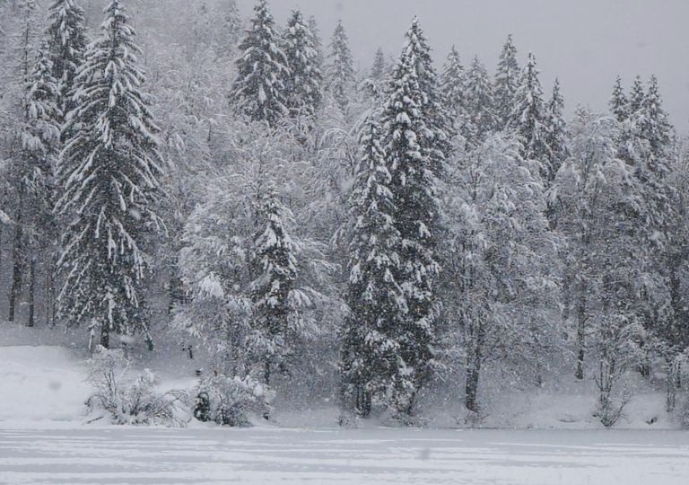 CENTROABRUZZONEWS: LA DIRETTA METEO E IL TEMPO CHE SARÀ. GELO E NEVE IN  CANTINA? IL METEOROLOGO BERNARDI AVVERTE: ATTENZIONE, L'INVERNO NON È  FINITO ANZI!!!