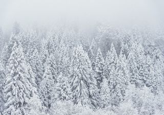 Meteo: grandi nevicate e piogge intense, gli ultimi aggiornamenti