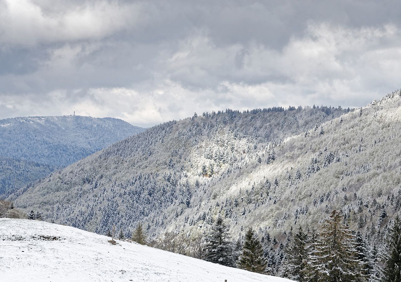 Meteo Imminente Nuova Irruzione Fredda