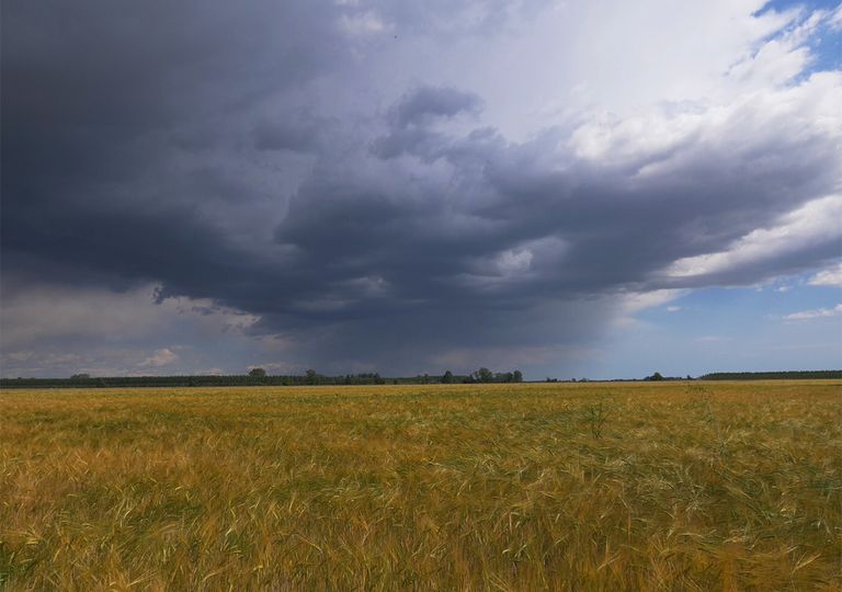 PREVISIONI METEO PREVISIONI METEO