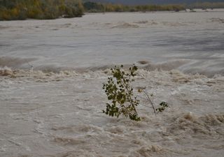 Meteo: intense piogge in Veneto, Toscana, Liguria e altre regioni con 200 mm accumulati in poche ore