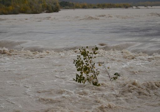 Meteo: intense piogge in Veneto, Toscana, Liguria e altre regioni con 200 mm accumulati in poche ore