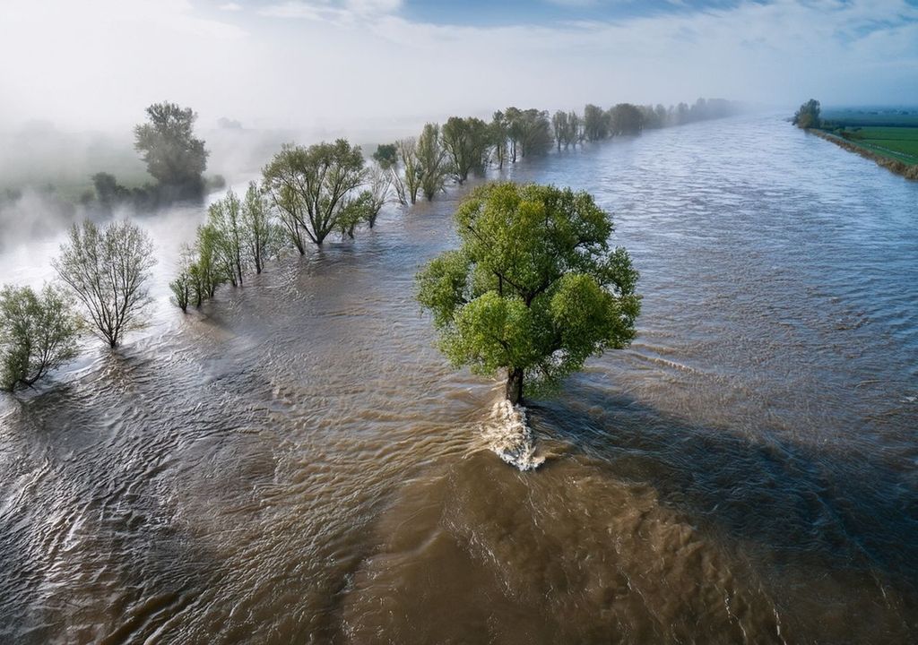 Piogge, inondazioni.
