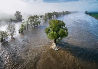 Avviso, il modello europeo cambia le previsioni meteo: con La Niña autunno molto piovoso in Italia. Le aree più colpite