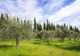 Meteo, Aprile inizia con freddo e neve: sarà un mese invernale?