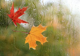 Meteo, l'autunno fa sul serio: in settimana piogge, freddo e nevicate