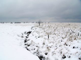 Météo : l'hiver à 4 semaines du début de l'été météorologique