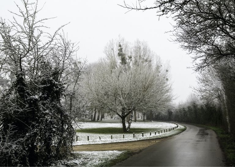 neige neige