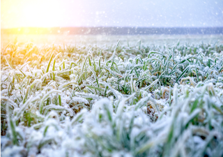 Meteo: le previsioni della settimana, quanto durerà il bel tempo?