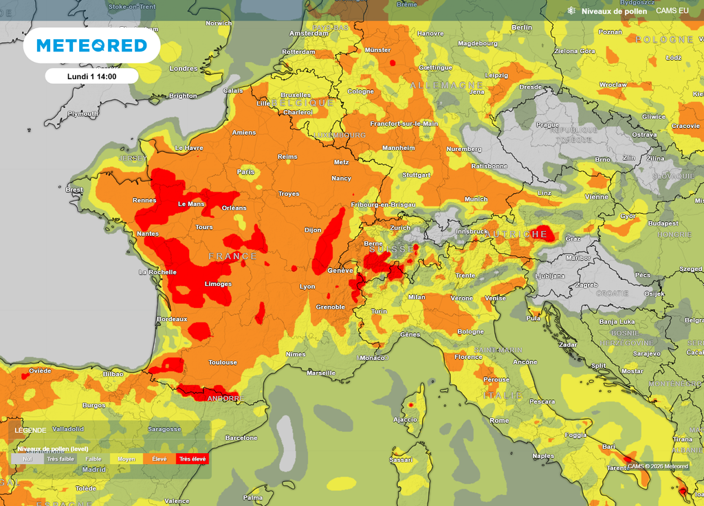 Carte pollens lundi après-midi Lundi après-midi, les concentrations en pollens, notamment de graminées, resteront élevées malgré l'air plus frais sur une grande partie du pays.