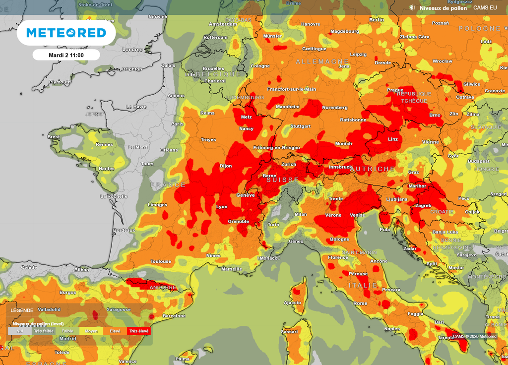 Carte pollens mardi mi-journée Mardi, à la mi-journée, les orages présents dans l'Est accentueront encore le risque d'allergies aux pollens !