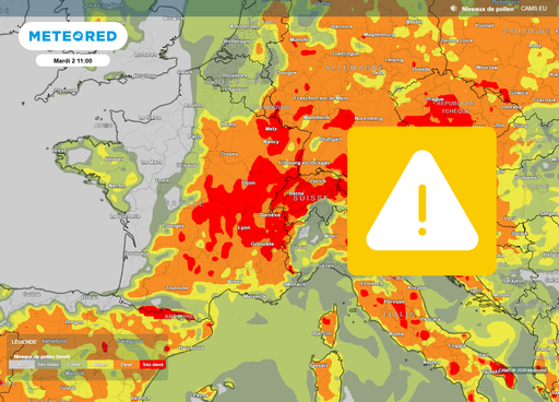M&eacute;t&eacute;o : le retour de l'humidit&eacute; et du vent d&egrave;s mardi en France aura un impact sur la circulation des pollens