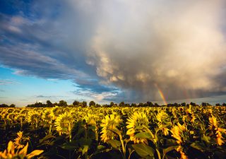 Meteo, le tendenze per il ponte del 25 aprile: come sarà?