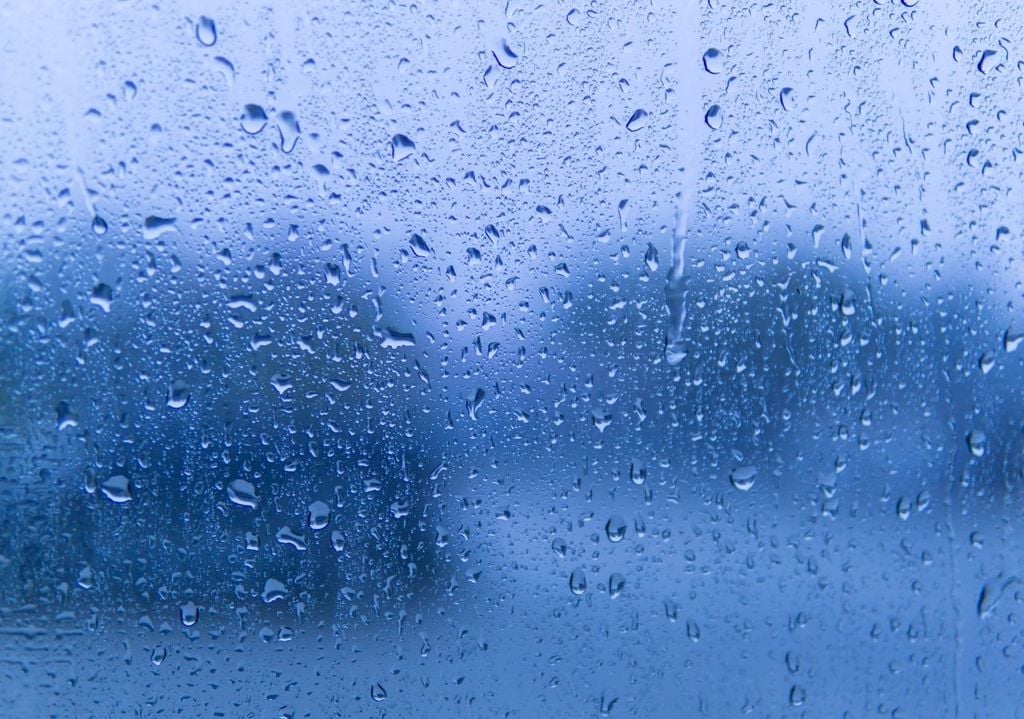 Nella parte finale della seconda decade di marzo si aprirà un periodo più instabile e dinamico.