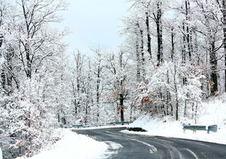 Notte da lupi per l'Appennino emiliano, allerta rossa su tre regioni