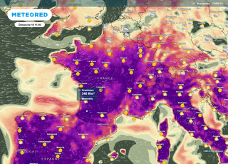 Météo : nouvelle explosion des pollens en France ! Découvrez les régions concernées 